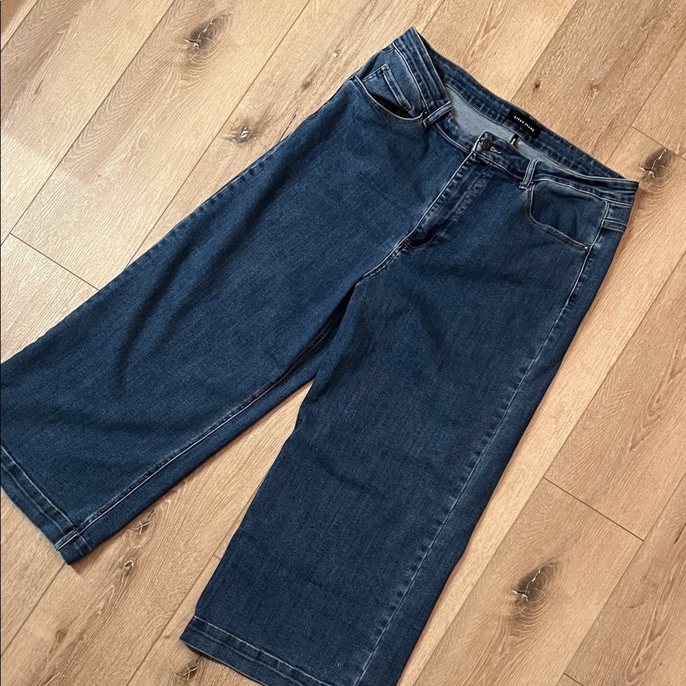 Risen Jeans ~ Women's 2X (20-22W) Wide Leg Blue Jeans in Great Condition